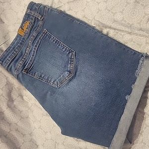 Perfect Denim Shorts